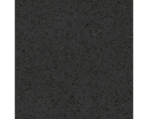 Molle black PG 01
