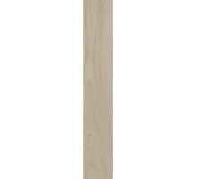 SG526320R Монтиони бежевый матовый обрезной 20х119,5