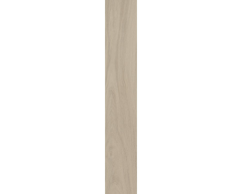 SG526320R Монтиони бежевый матовый обрезной 20х119,5