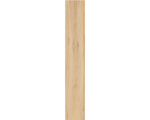 Гранит керамический K-2102/SR ALLEYA Brown 20х120 см (толщина 10 мм)