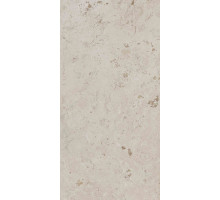 DD506620R Про Лаймстоун бежевый натуральный обрезной 60x119,5