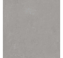 DD640220R Про Фьюче серый обрезной 60х60