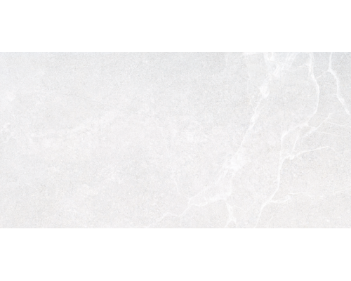 Гранит керамический 29854 LUCCA White AS/60X120/C/R 60х120 см