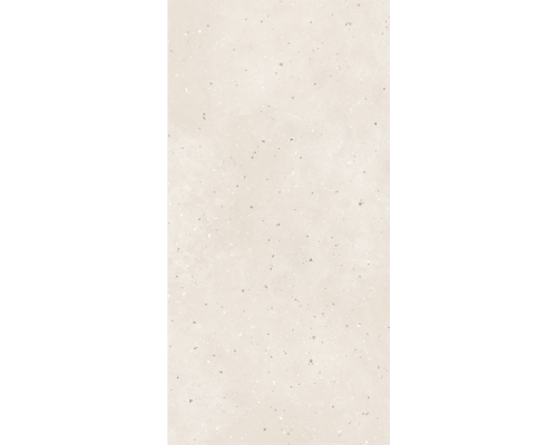Гранит керамический G-41/MR GRANELLA Light Beige 60х120 см (толщина 10 мм)