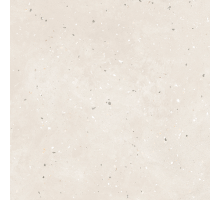Гранит керамический G-41/MR GRANELLA Light Beige 60х60 см (толщина 9 мм)