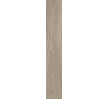 SG526920R Монтиони коричневый светлый матовый обрезной 20х119,5