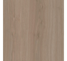 SG643820R Альберони коричневый светлый матовый обрезной 60х60