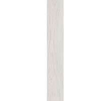 SG526820R Монтиони белый матовый обрезной 20х119,5