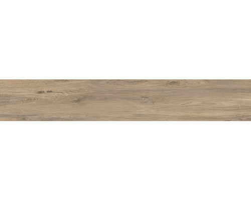 SG514820R Сальветти капучино обрезной 20х119,5