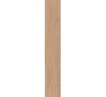 SG732490R Тровазо бежевый матовый обрезной 13х80
